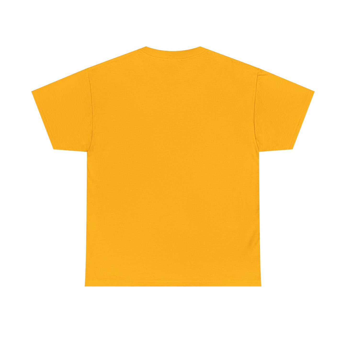 Ailín Pérez “Las Malvinas Son Argentinas” Unisex Heavy Cotton Tee