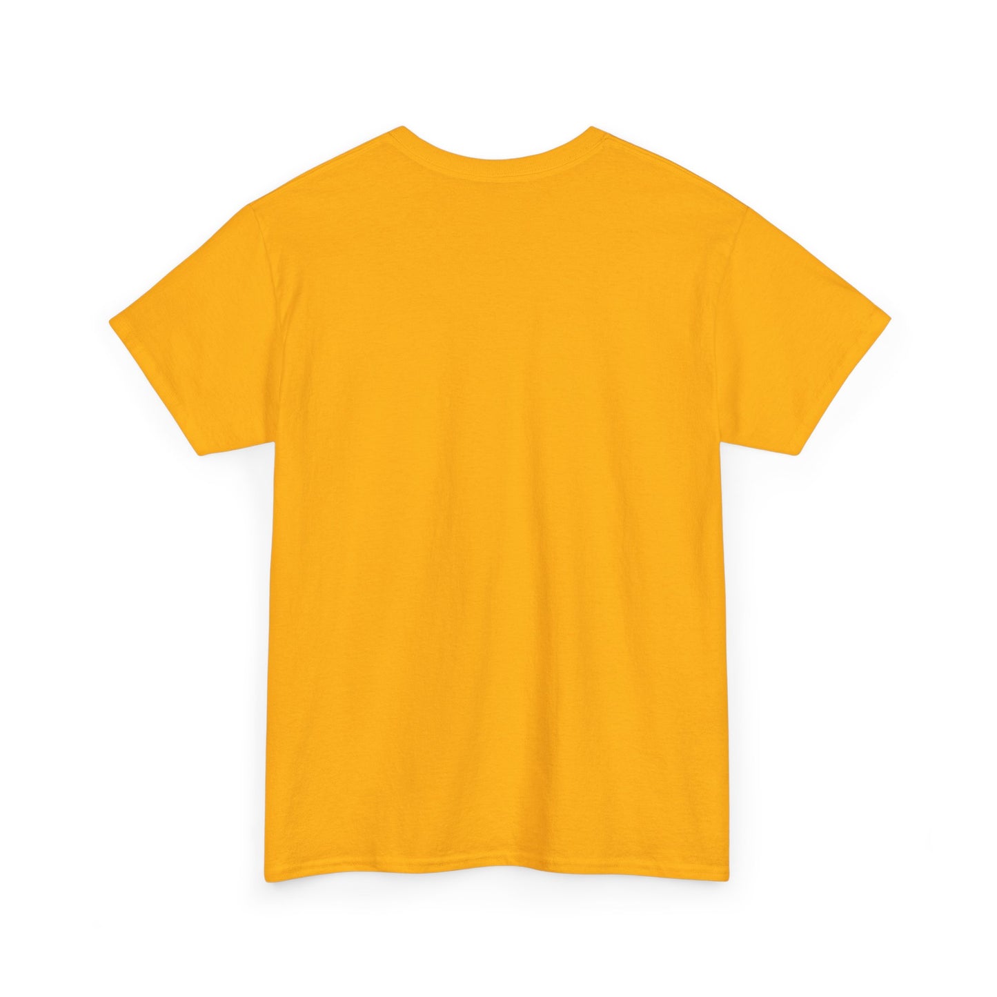 Ailín Pérez “Las Malvinas Son Argentinas” Unisex Heavy Cotton Tee